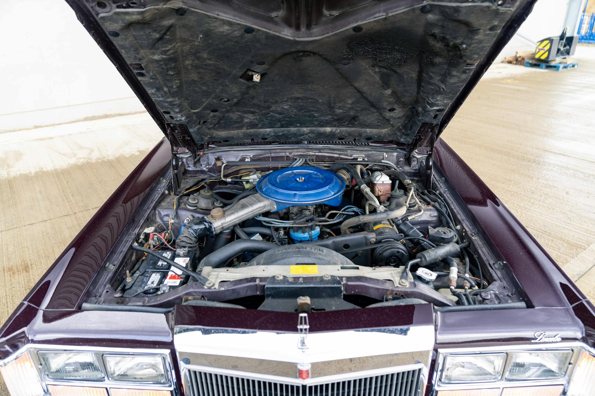 SPECIAL_FEATURES feature-one