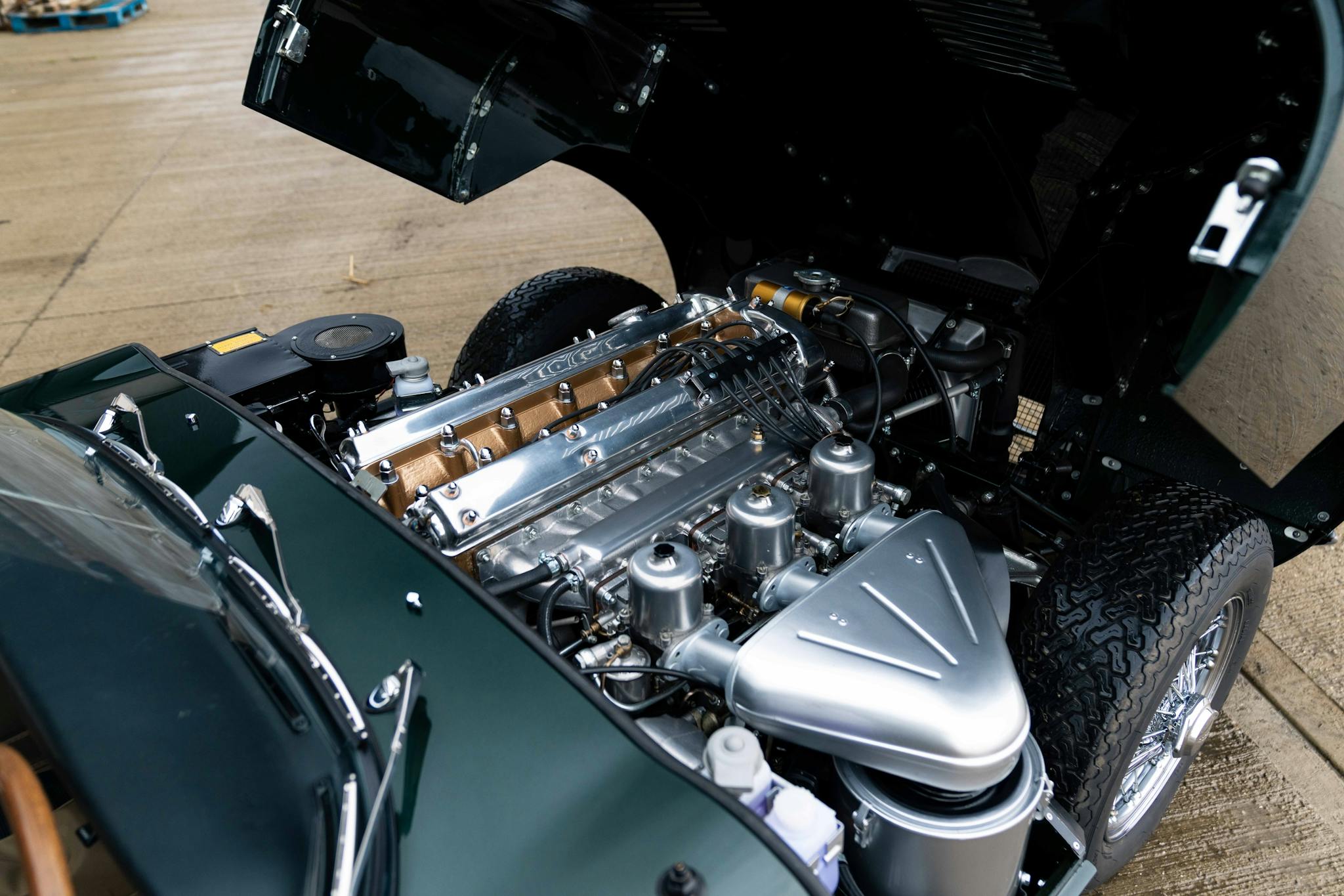 SPECIAL_FEATURES feature-one